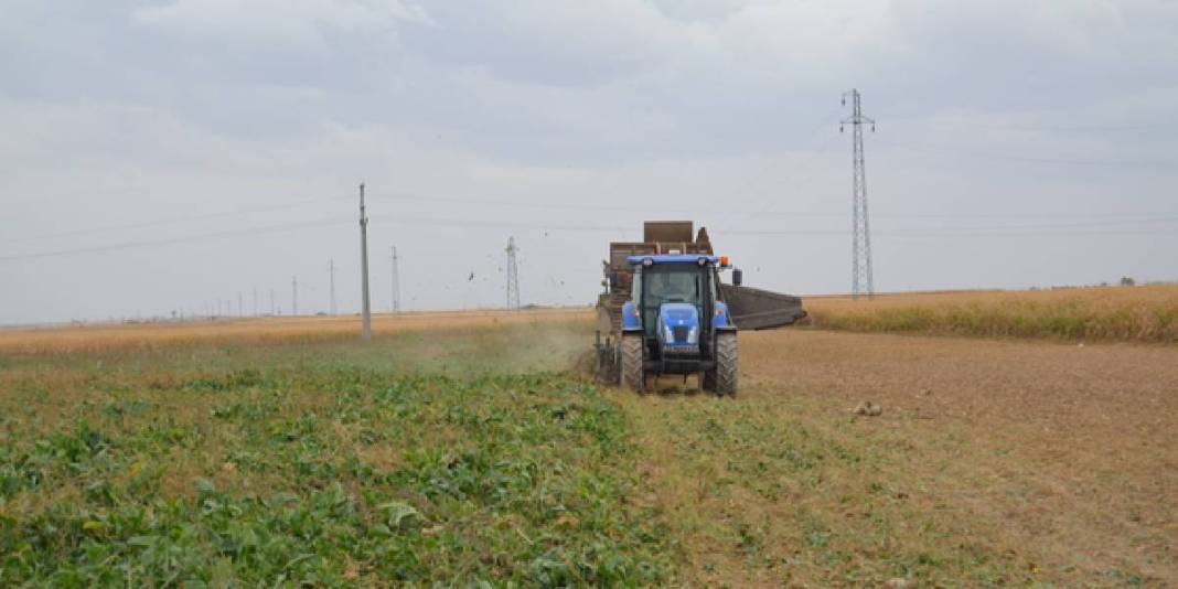 Yılda 2 milyon ton üretim yapan Aksaray’da hasat başladı! Fiyat belirlendi, üreticinin yüzü güldü: Satışlar memnun ediyor 3